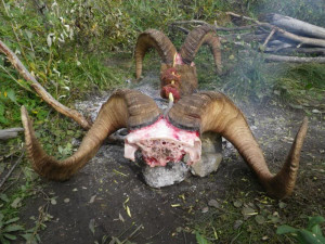 Re: DIY SHeep hunt, Kifaru Style.