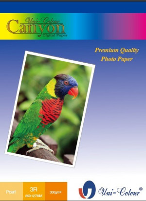 ... rerum novarum ideas principales k. sabaliauskaite silva rerum