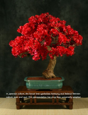 Japanese Culture Quote