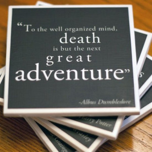... is but the next great adventure