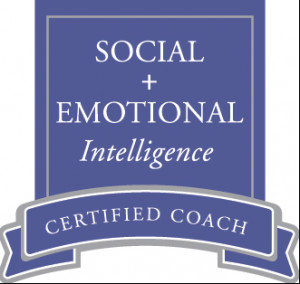 Social + Emotional Intelligence Profiling – SEIP