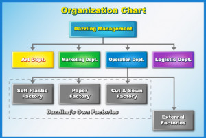 Hereunder is the organization chart of Dazzling