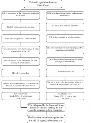 ... of Representatives - Federal Legislative Process United State