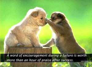 ... During A Failure Is Worth More Than An Hour Of Praise After Success