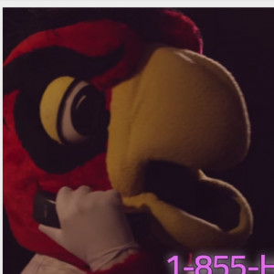 You’re the Worst Review: “Crevasses” :: TV :: Reviews :: Paste