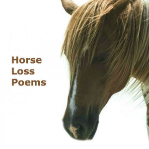 Horse Loss Poems