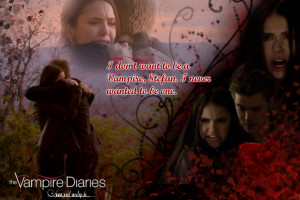 Vampire Diaries and Quotes by Infragirl