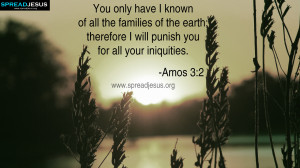 BIBLE QUOTES AMOS 3-2 HD-WALLPAPERS You only have I known of all the ...