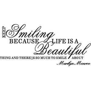 ... -Vinyl-Wall-Sticker-Decal-Mural-DIY-Room-Art-Decor-Quote-Home-Window