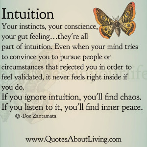 your instincts your conscience your gut feeling they re all part of ...