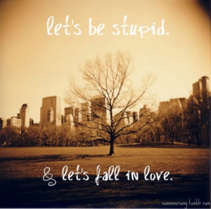 Park Goril Agora Est Com Novidades Boliche