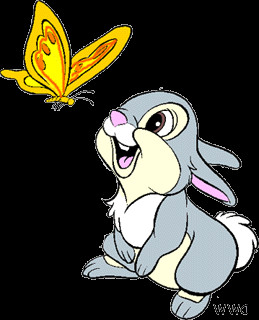 Thumper The Rabbit Pictures