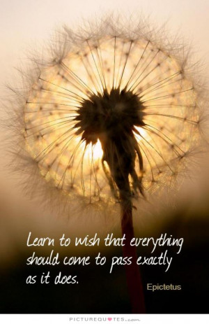 ... everything should come to pass exactly as it does Picture Quote #1