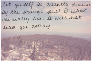 ... pull of what you really love. It will not lead you astray.” – Rumi