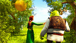 Shrek 2 Donkey Quotes