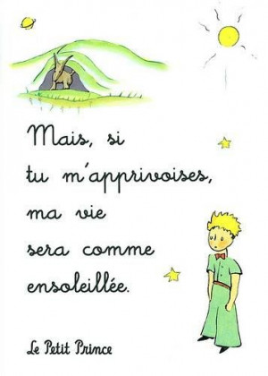 ... du Petit Prince ? http://www.lepetitprince.com/oeuvre/le-recit