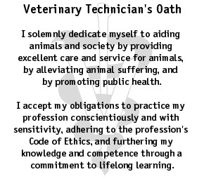 Vet Tech Oath