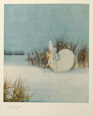 OUTHWAITE, Ida Rentoul. Fairyland. Verses by Annie R. Rentoul. Stories ...