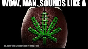 Super Bowl, man: NFL's top two teams from states legalizing pot