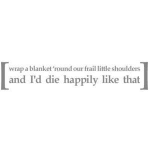 Today's Lyrics, a fine frenzy - what i wouldn’t do