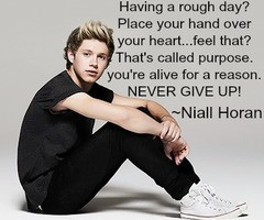 Quotes and song lyrics