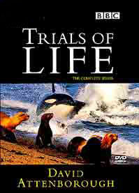 The Trials of Life movie download