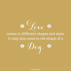 true. dog lovers, pet quotes, puppi