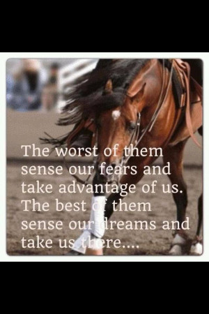 equestrian quotes | Horse Quotes