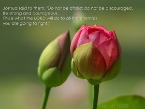 Joshua said to them, 