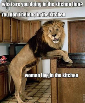 What are you doing in the kitchen lion?