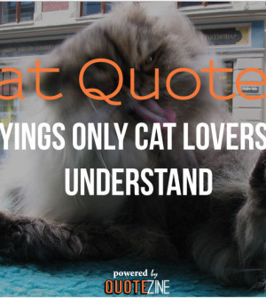 cat-quotes-300x336.jpg
