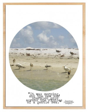 Jonathan Livingston Seagull tropical-artwork