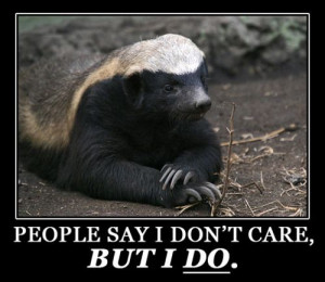 HONEY BADGER
