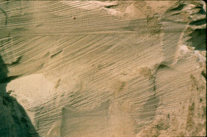 status quo . If you require further information, wish to make a ...