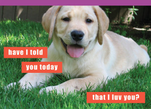 ... -humor-puppy-dog-lab-have-i-told-you-today-that-i-love-luv-you.jpg