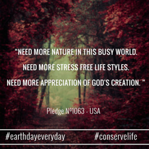 Leave a reply Click here to cancel the reply