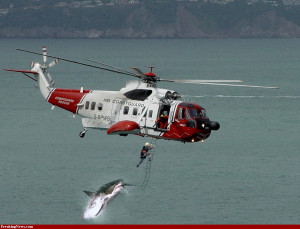 ... -great-white-shark-attack-animal-attacks-news_134404903969.jpg