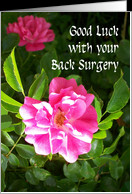 Back Surgery Good Luck Card - Pink Roses card - Product #823176