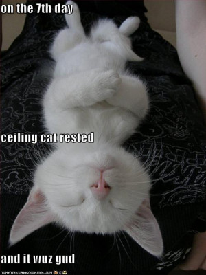 Posted by mazeto at 11:29 AM