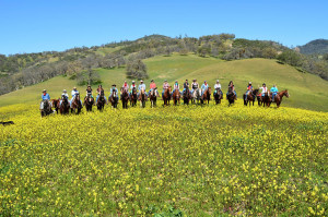 COME SHARE MY ‘WILD’ WEEKEND! YOU COULD HAVE ONE, TOO!! Just go to ...