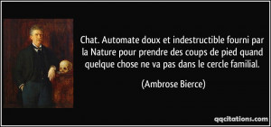 Chat. Automate doux et indestructible fourni par la Nature pour ...