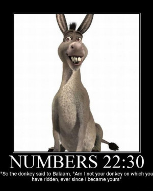 The Bible Talking Donkey