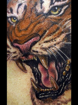 20009-tiger-tattoo-pictures-images-designs-ideas-tattoos-tattoo-design ...