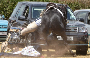 The rider was sent flying into a pushchair when her horse charged into ...