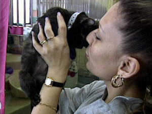 Career Video: View video on Nonfarm Animal Caretakers