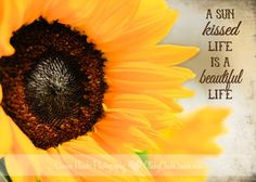 ... com // sunflower and quote, with Kim Klassen textures sunflower quotes