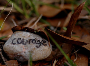 Quotes about courage http://www.flickr.com/photos/jridgewayphotos ...
