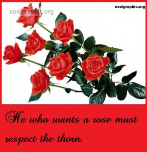 He who wants a rose must respect the thorn.”