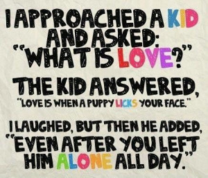 puppy love ️ ️ ️ ️