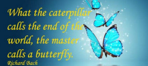 What the Butterfly Calls the End of the World
